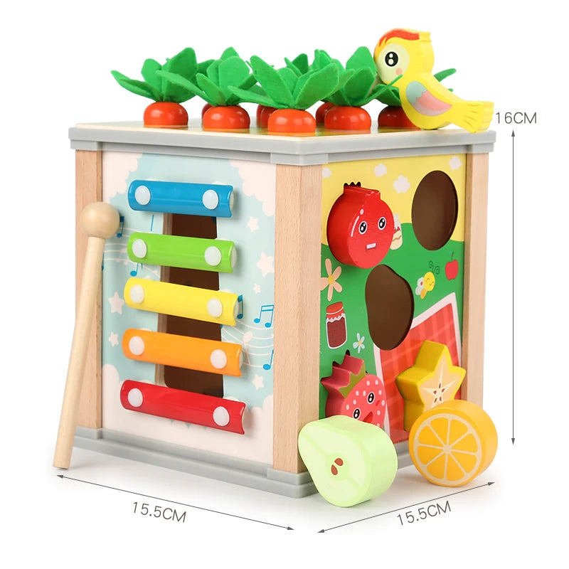 Magical Treasure Box, Education Toys for Little Explorer's